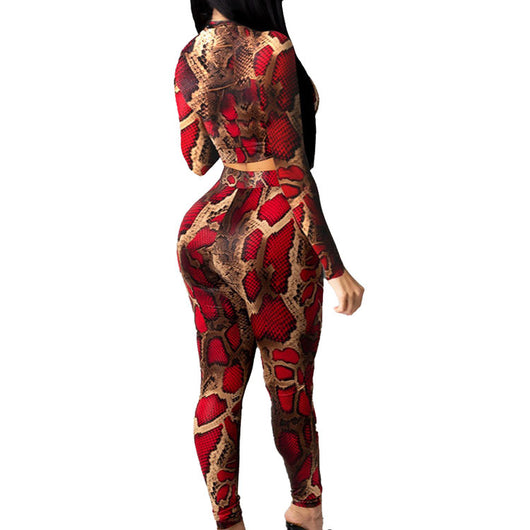 Conjunto de Dos Piezas con Estampado de Serpiente y Mangas Largas - Image 7