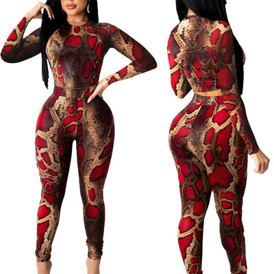 Conjunto de Dos Piezas con Estampado de Serpiente y Mangas Largas - Image 8