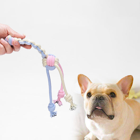 Pelota de Cuerda Interactiva Resistente para Perros y Gatos - Image 19
