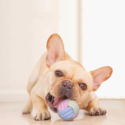 Pelota de Cuerda Interactiva Resistente para Perros y Gatos - Image 21