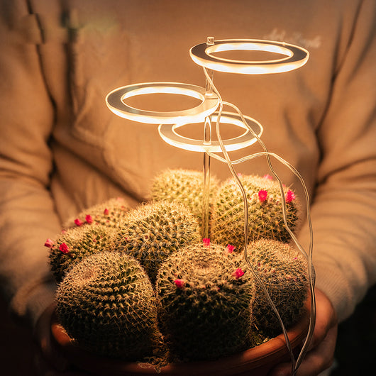 Lámpara LED de Espectro Completo para Plantas de Interior con USB