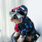 Suéter Deportivo Retro para Perros - Ropa Premium para Bulldog Francés y Mascotas
