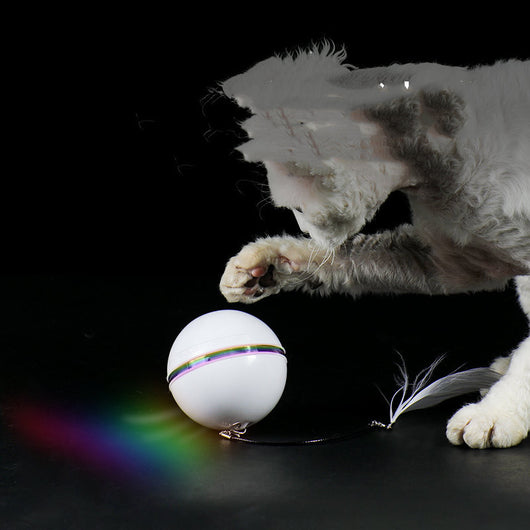 White automatic cat toy ball with a power button, shown with detachable feather and bell attachments.