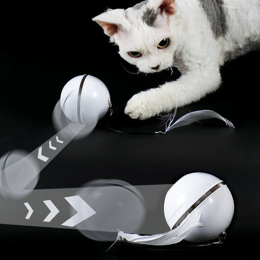 White automatic cat toy ball with a power button, shown with detachable feather and bell attachments. - Image 3