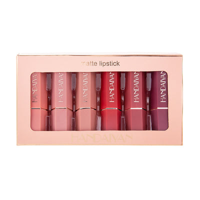 Set de Labiales Mate Premium Anti-transferencia con Estuche de Regalo