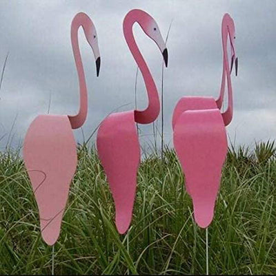 Decoración Temática Flamenco para Fiestas Tropicales