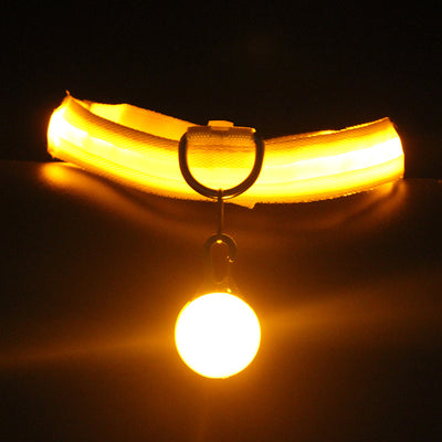 Collar Luminoso para Perros Fashion - Seguridad y Estilo - Image 10