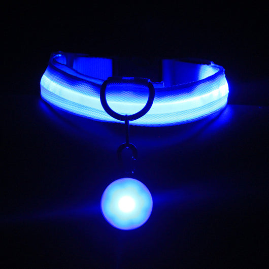 Collar Luminoso para Perros Fashion - Seguridad y Estilo - Image 5