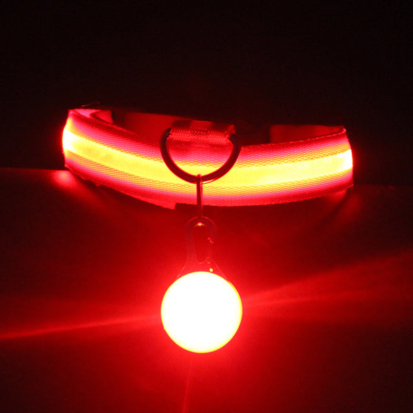 Collar Luminoso para Perros Fashion - Seguridad y Estilo