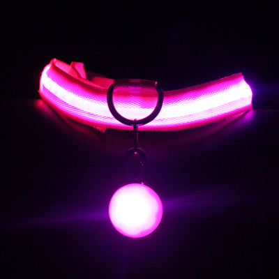 Collar Luminoso para Perros Fashion - Seguridad y Estilo - Image 3