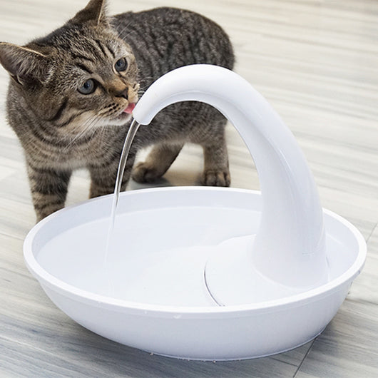 Fuente de Agua para Gatos con Flujo Continuo - Image 5