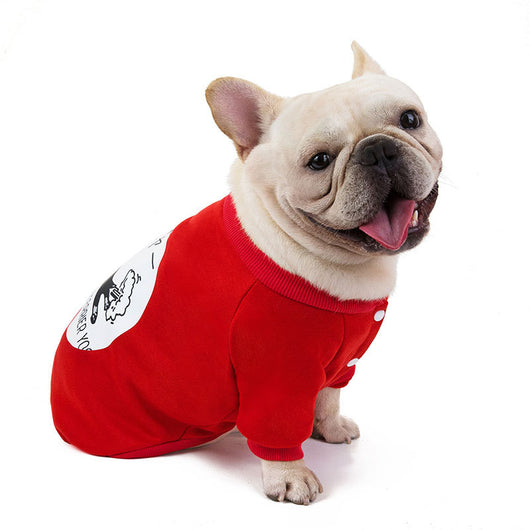 Suéter Térmico Acogedor para Perros Corgi y Mascotas Pequeñas - Image 5