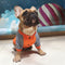 Suéter de Terciopelo para Perros Pequeños y Medianos - Pug y Razas Similares