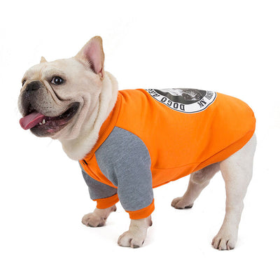 Suéter de Terciopelo para Perros Pequeños y Medianos - Pug y Razas Similares - Image 9