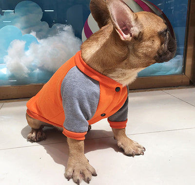 Suéter de Cachemira para Perros Pequeños y Medianos - Image 9
