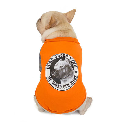 Suéter de Cachemira para Perros Pequeños y Medianos - Image 2