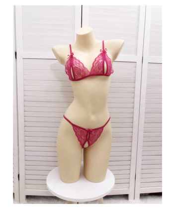 Bikini de Encaje Transparente Sexy de Tres Puntos para Mujer