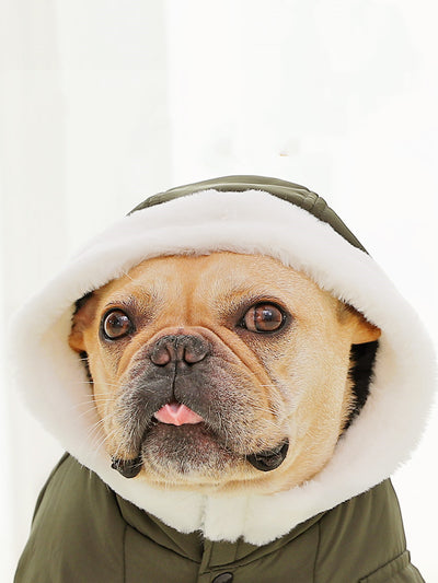 Abrigo Térmico para Perros Algodón Invierno con Forro Polar Grueso - Image 9