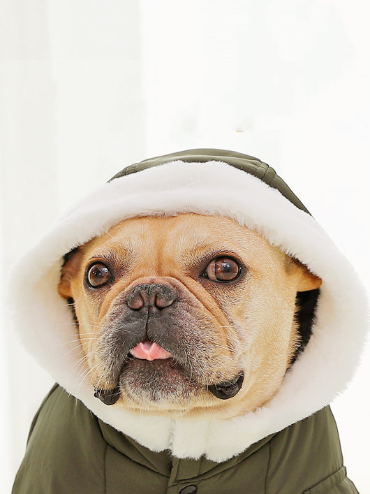 Abrigo Térmico para Perros Algodón Invierno con Forro Polar Grueso - Image 5