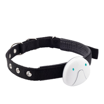 Rastreador GPS Inteligente para Perros - Localizador Miniatura Resistente al Agua - Image 8