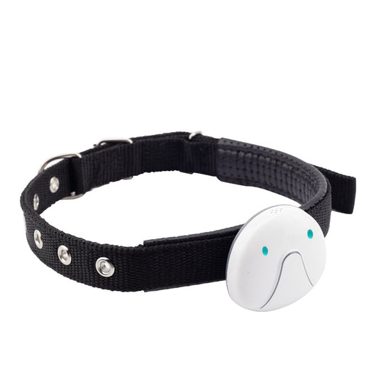 Rastreador GPS Inteligente para Perros - Localizador Miniatura Resistente al Agua - Image 8
