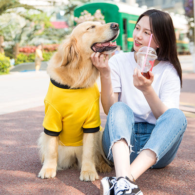 Suéter de Forro Polar para Perros Medianos y Grandes - Abrigo Primavera - Image 10