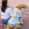 Suéter de Forro Polar para Perros Medianos y Grandes - Abrigo Primavera