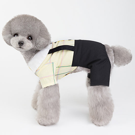 Ropa a Juego para Perros - Traje Estudiante Primavera Verano - Image 17
