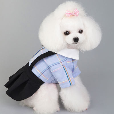 Ropa a Juego para Perros - Traje Estudiante Primavera Verano - Image 18