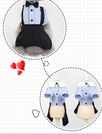 Ropa a Juego para Perros - Traje Estudiante Primavera Verano - Image 21