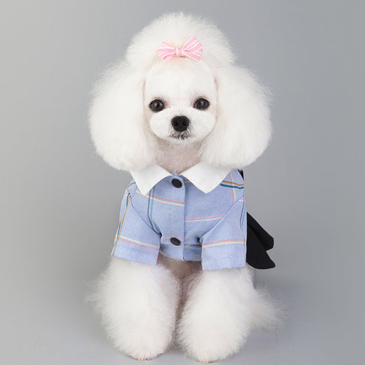 Ropa a Juego para Perros - Traje Estudiante Primavera Verano - Image 9