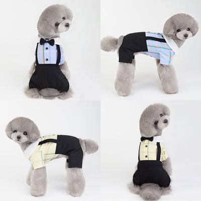 Ropa a Juego para Perros - Traje Estudiante Primavera Verano