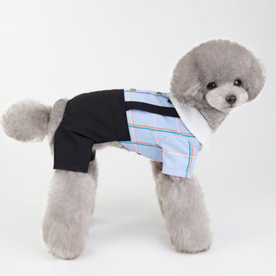 Ropa a Juego para Perros - Traje Estudiante Primavera Verano - Image 5