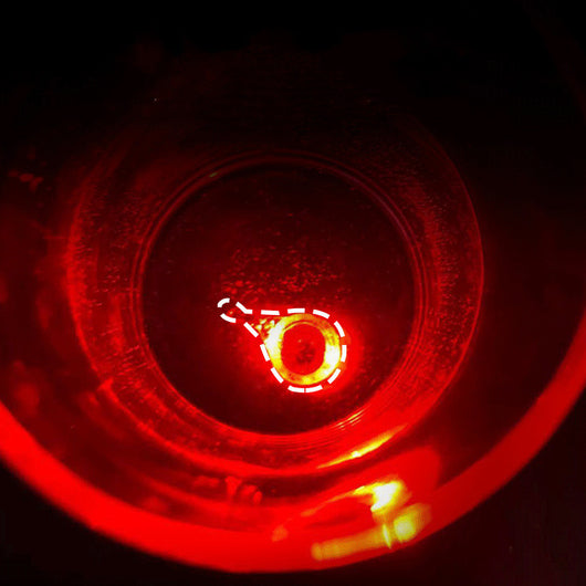 Juego de Lámpara Anzuelo Luminoso Pulpo Ojo de Pez para Pesca Submarina - Image 13