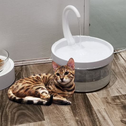 Fuente de Agua para Gatos con Filtración Continua - Image 13