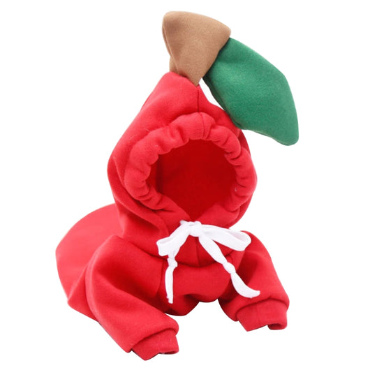 Ropa Térmica para Chihuahua - Abrigos y Suéteres para Otoño e Invierno - Image 10