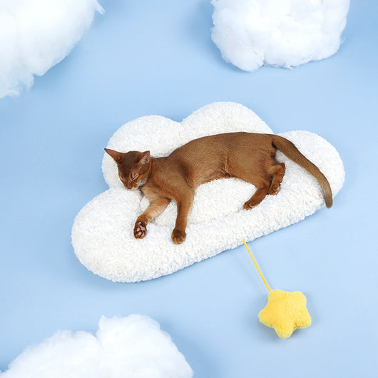 Cama Térmica para Mascotas - Colchoneta Gruesa y Cálida para Otoño e Invierno - Image 6