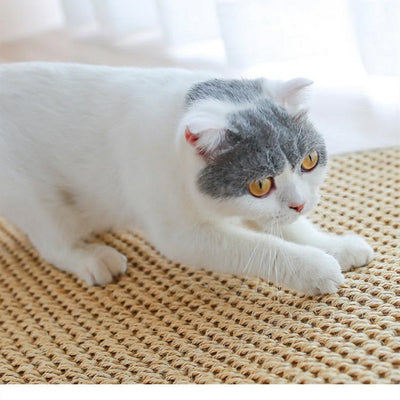 Protector de Sofá Resistente para Gatos - Almohadilla Grande Anti-Arañazos - Image 10