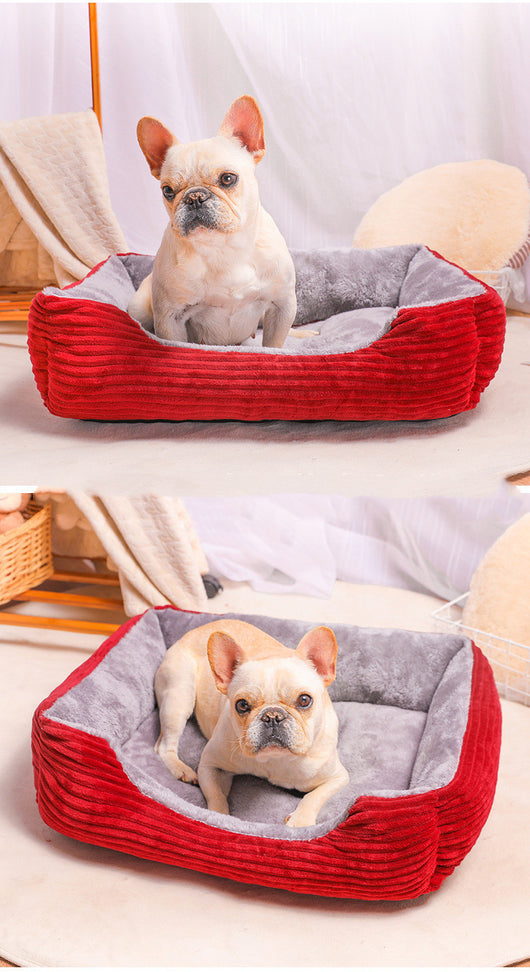 Cama Ortopédica para Perros Pequeños, Medianos y Grandes - Image 2