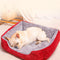 Cama Ortopédica para Perros Pequeños, Medianos y Grandes
