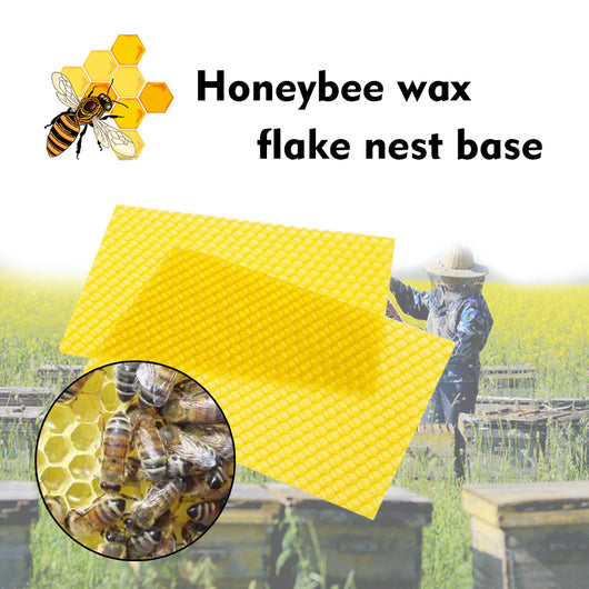 Tabletas de Cera de Abeja para Apicultores - Comercio Internacional - Image 8