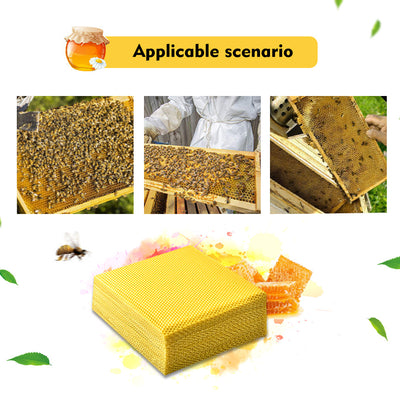 Tabletas de Cera de Abeja para Apicultores - Comercio Internacional - Image 9