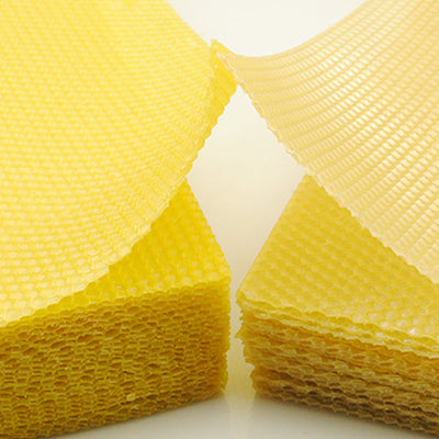 Tabletas de Cera de Abeja para Apicultores - Comercio Internacional - Image 10