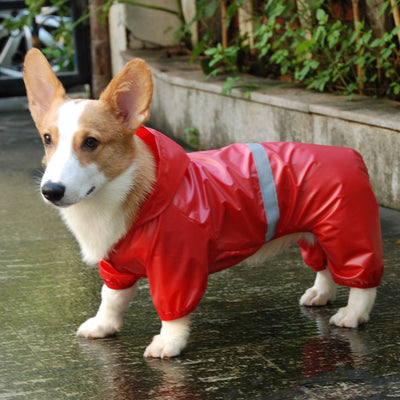 Impermeable Reflectante para Perros con Doble Transpirabilidad - Image 5