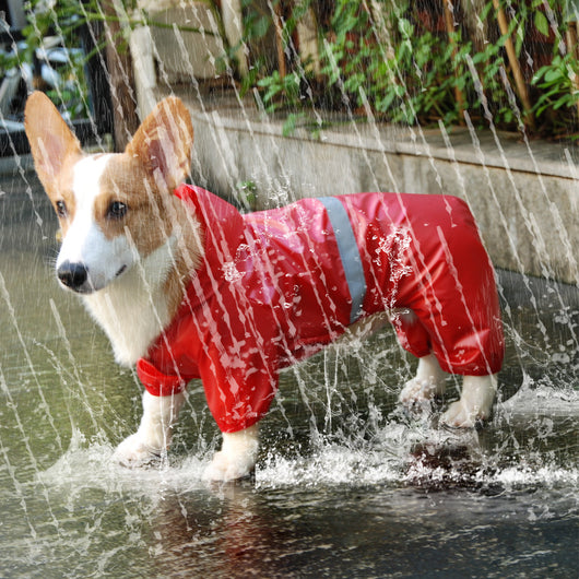 Impermeable Reflectante para Perros con Doble Transpirabilidad - Image 7