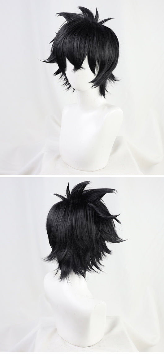 Peluca de Cosplay Rixia Xia Yu - Disfraz Profesional de Anime - Image 12