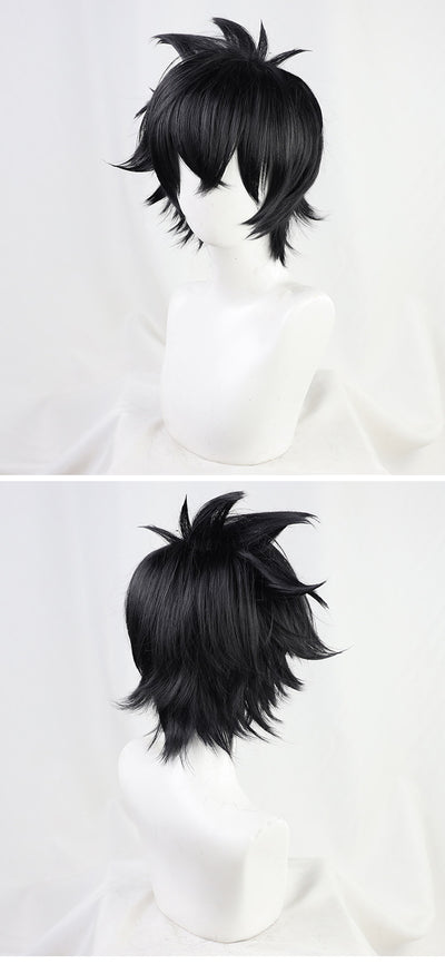 Peluca de Cosplay Rixia Xia Yu - Disfraz Profesional de Anime - Image 6