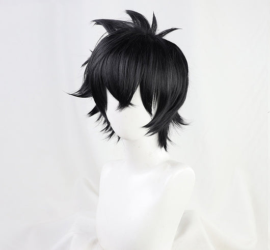 Peluca de Cosplay Rixia Xia Yu - Disfraz Profesional de Anime - Image 5