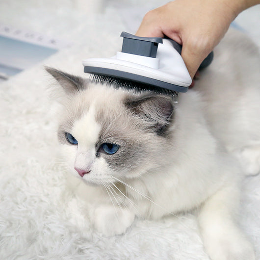 Peine Deslanador Automático para Perros y Gatos - Acero Inoxidable - Image 3