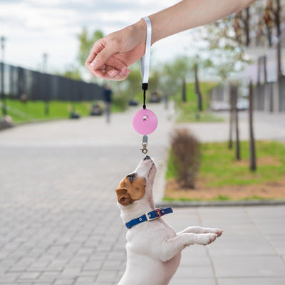 Correa Automática Retráctil para Perros 2M - Portátil y Flexible - Image 15